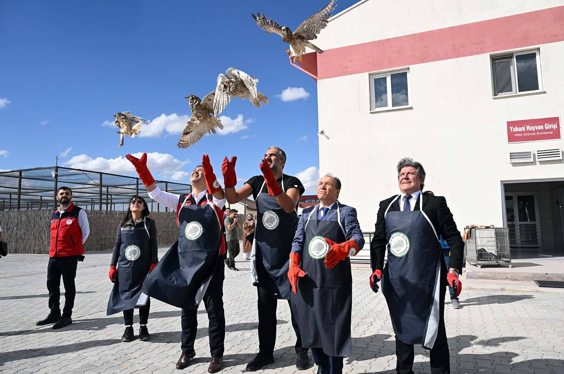 AKÜREM’de Tedavileri Tamamlanan Kuşlar Doğaya Salındı