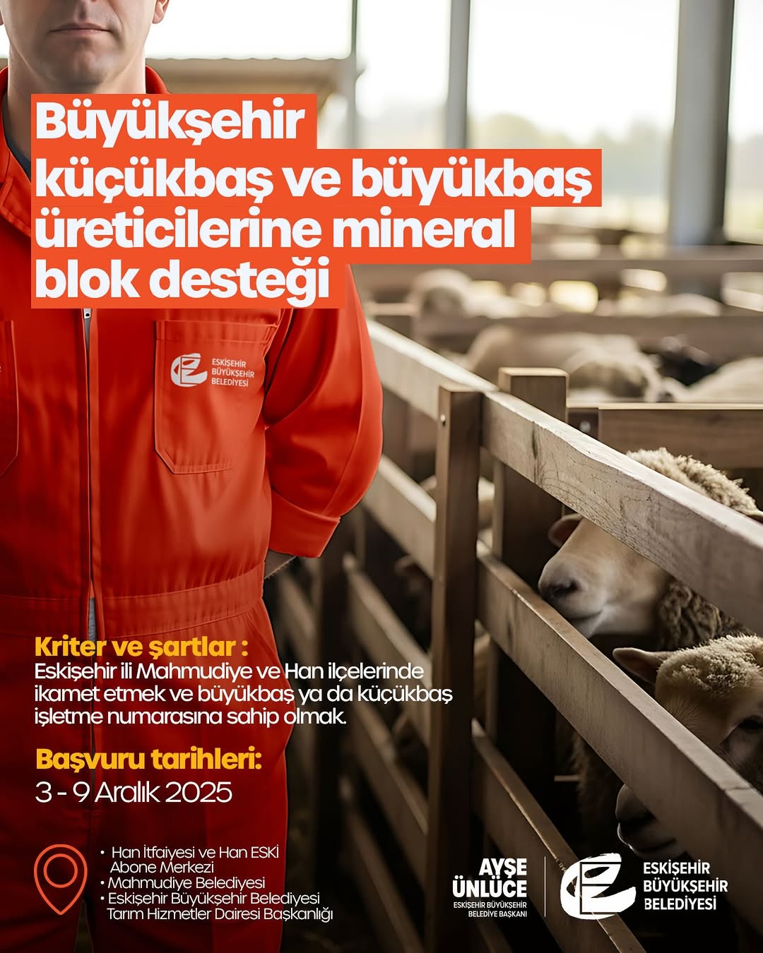 Eskişehir Büyükşehir Belediyesi Hayvancılığı Destekliyor: Mineral Blok Desteği Başlıyor!
