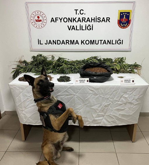 Afyonkarahisar’da Jandarmadan Uyuşturucu Operasyonları: Çok Sayıda Madde Ele Geçirildi