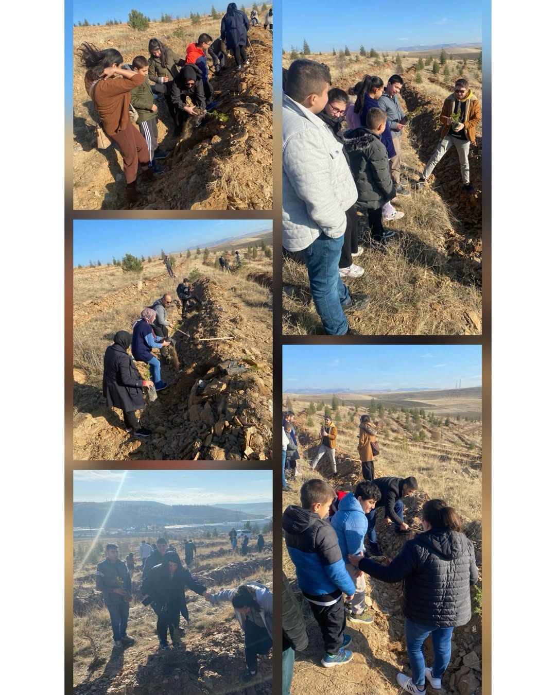 Milli Eğitim Bakanlığı 'Yeşil Vatan' Temasıyla Özel Çocuklarla Fidan Dikme Etkinliği Gerçekleştirdi