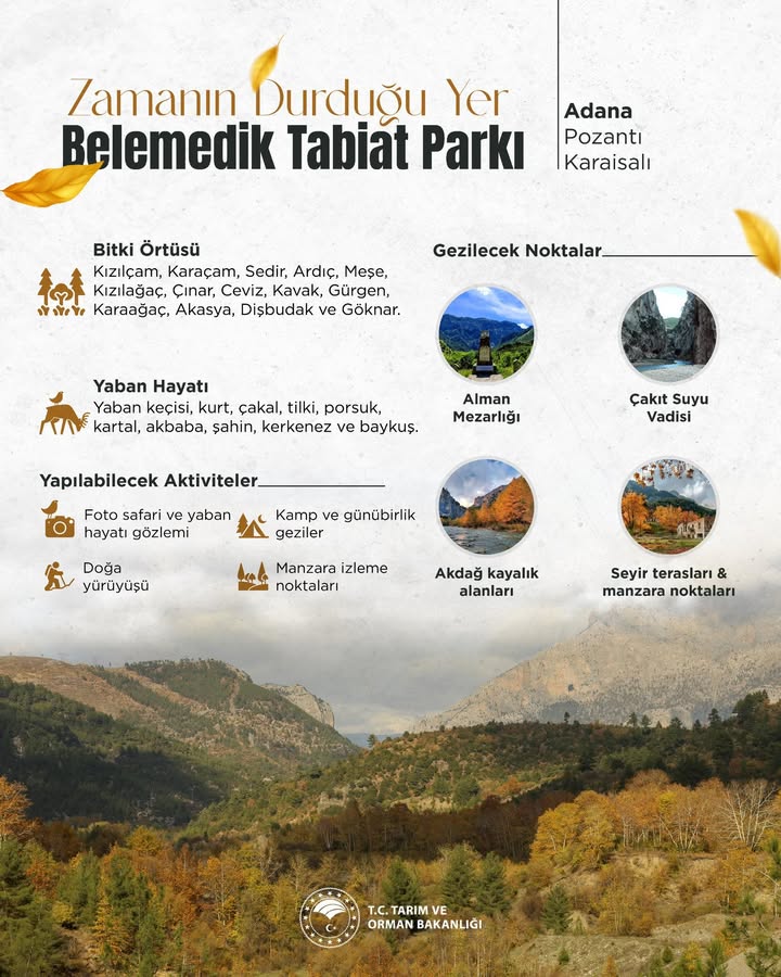 Belemedik Tabiat Parkı: Adana'nın Saklı Cenneti