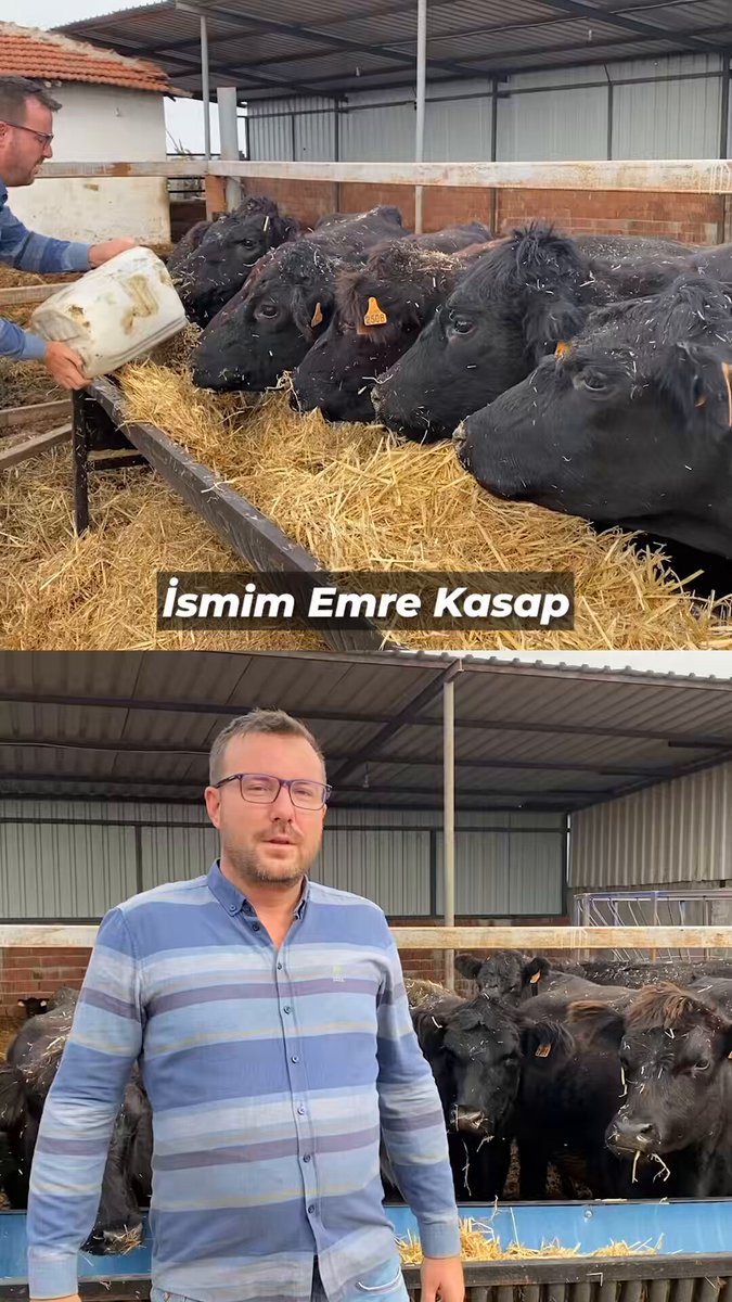 Bereket Hayvancılık Projesi Başladı