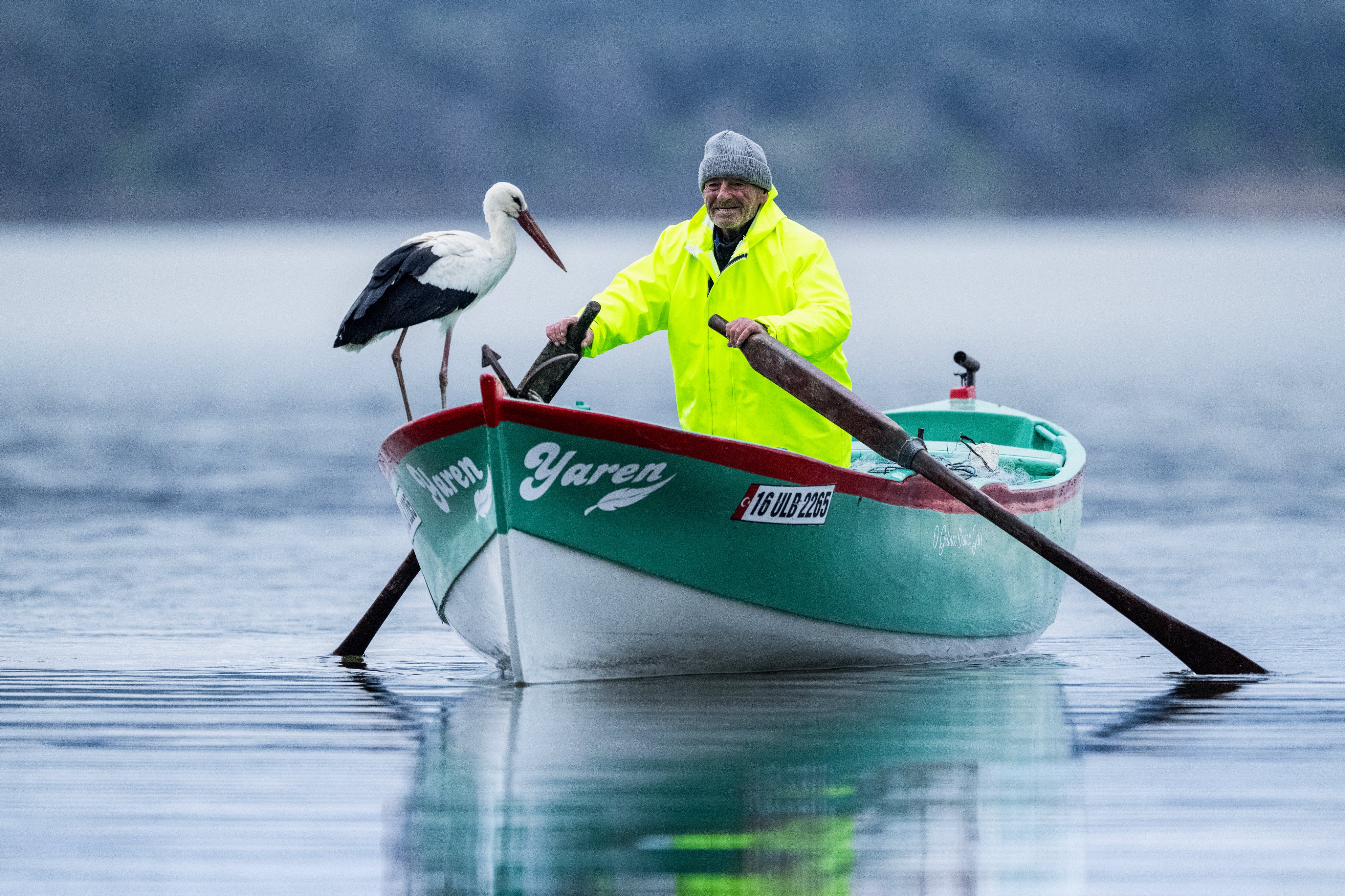 Su ve Toprak Üzerine