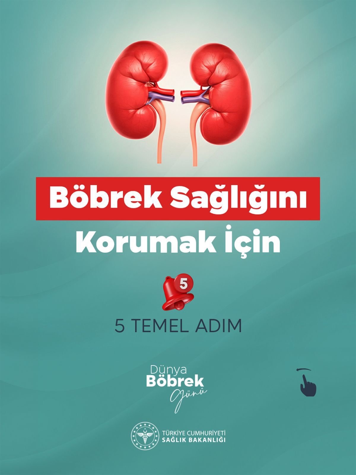 Böbrek Sağlığını Korumak