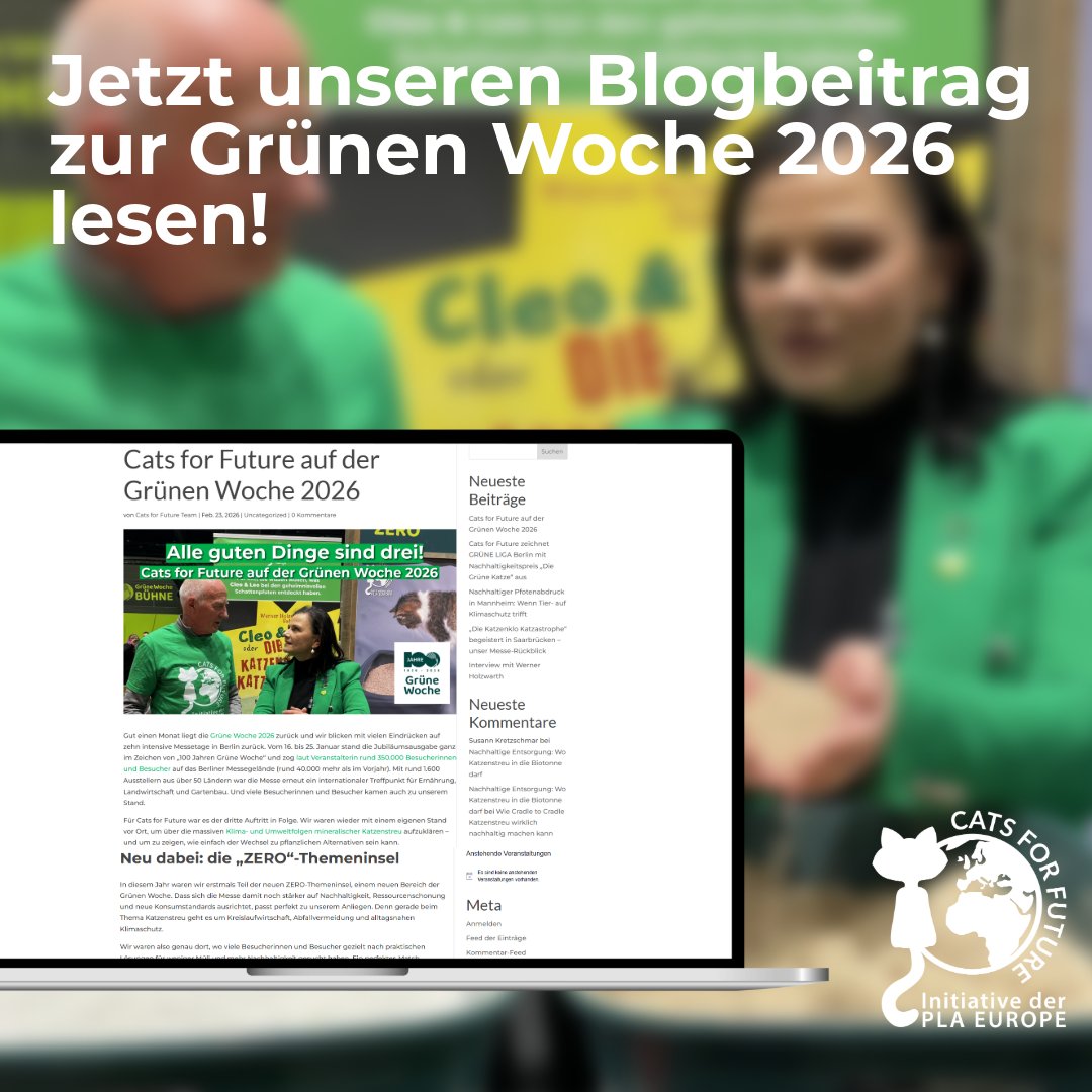 Bitkisel Kedi Kumuna Geçiş Kolaylığı