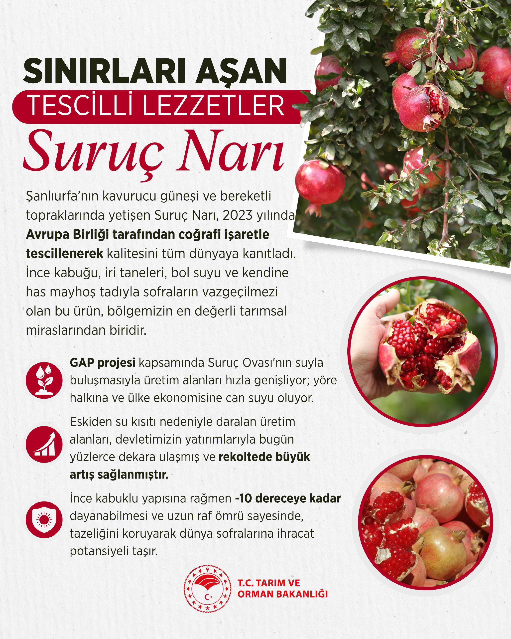 Suruç Narı, AB coğrafi işareti aldı