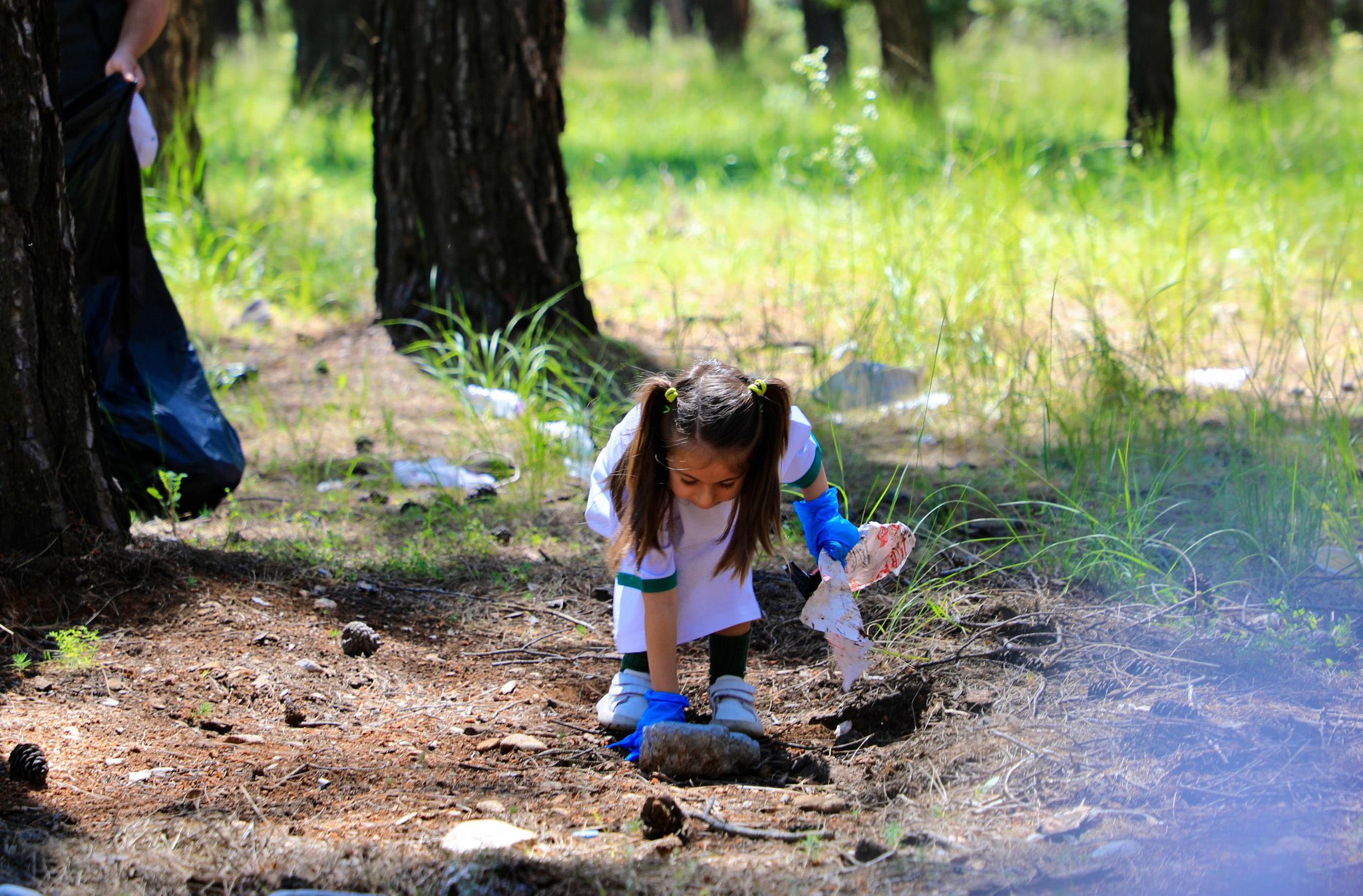 81 ilde orman temizliği için seferberlik başlatıldı