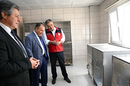 Afyon Kocatepe Üniversitesi AKÜREM'de Tedavileri Tamamlanan Kuşlar Doğaya Salındı