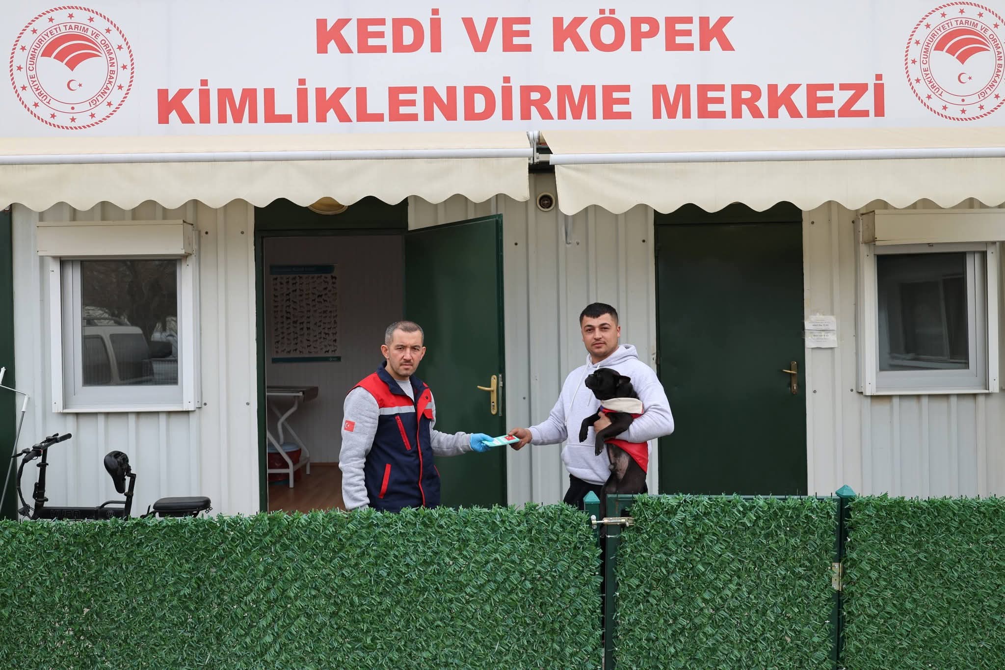 Kedi ve Köpeklerde Kimliklendirme İşlemleri Devam Ediyor: Son Başvuru 31 Aralık 2025 - 1