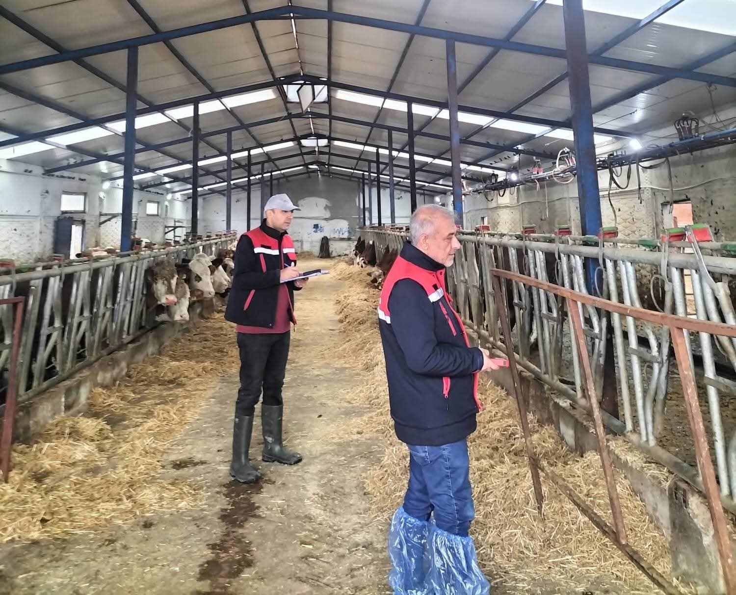 Hayvancılık İşletmelerinde Kapasite Ölçümleri Devam Ediyor! - 1