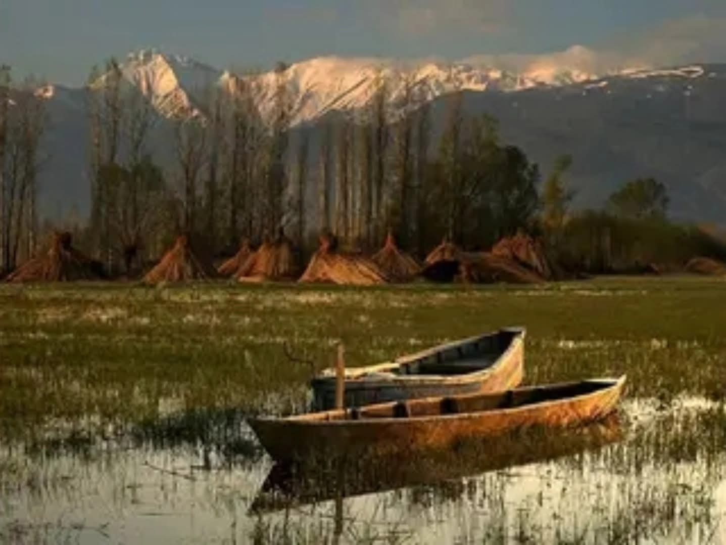 Kuraklığa Rağmen Umut Veren Gelişme - 1