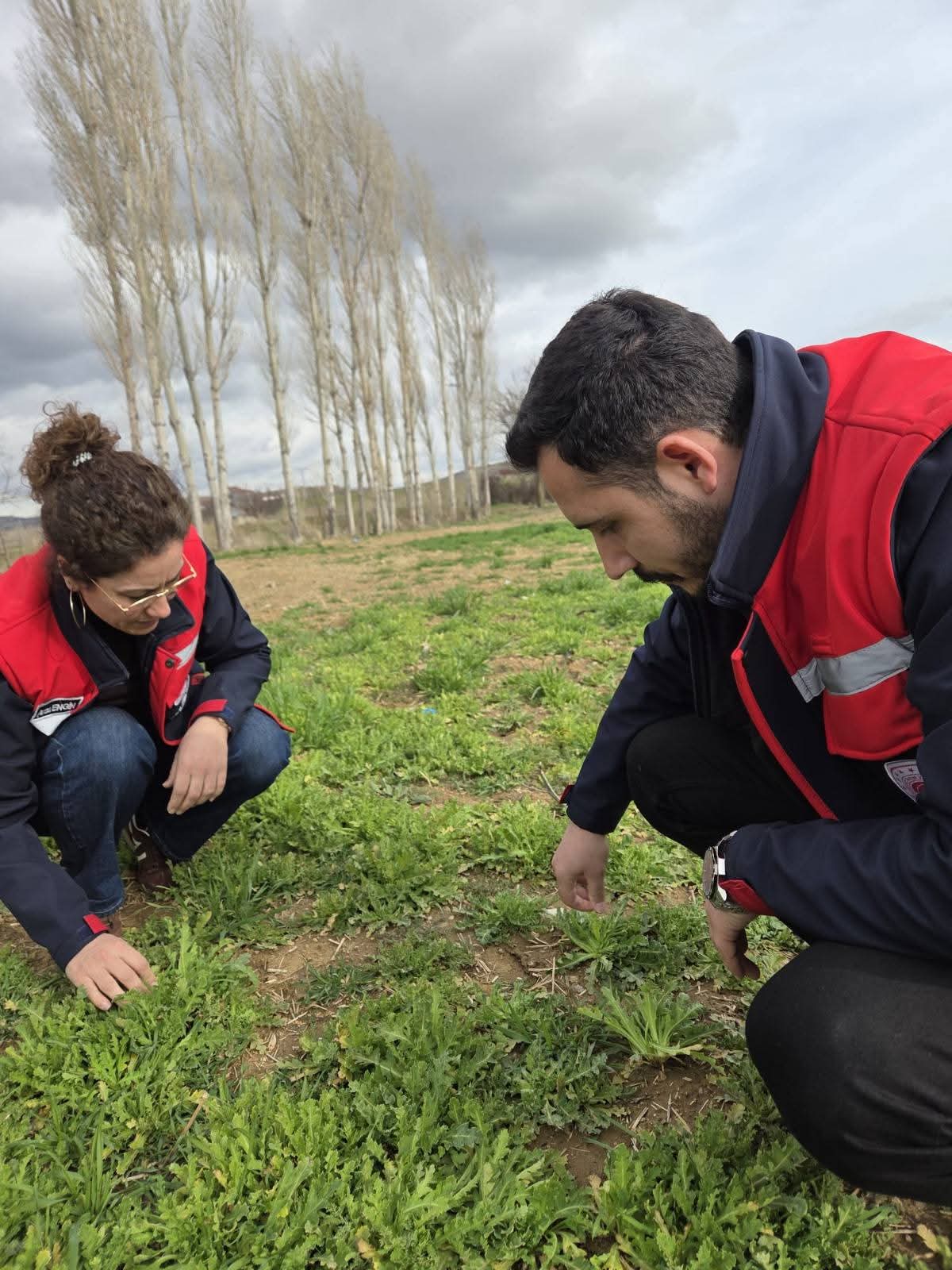 İL GENELİNDE BİTKİSEL ÜRÜNLERDE FENOLOJİK GÖZLEM VE HASTALIK–ZARARLI KONTROLLERİ DEVAM EDİYOR - 1