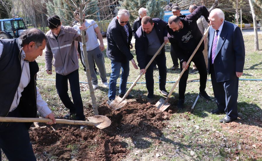 Gecek Termale232 fidan dikildi