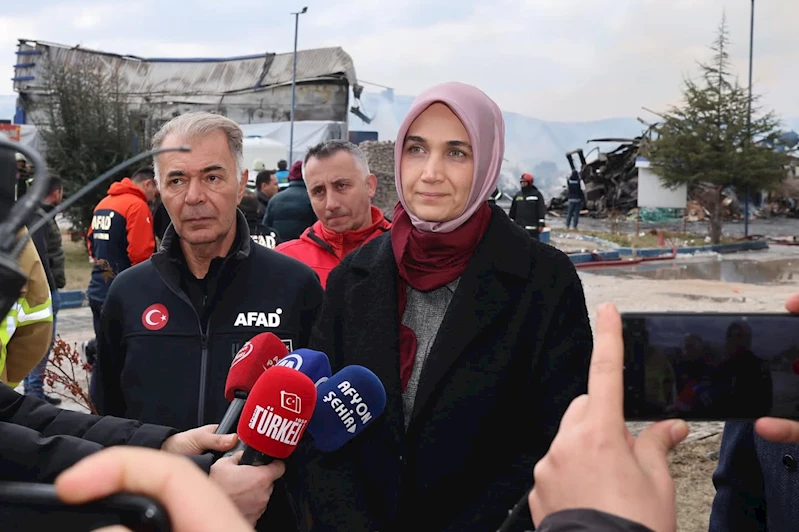 Vali Yiğitbaşı yangın söndürme çalışmalarını yerinde inceledi