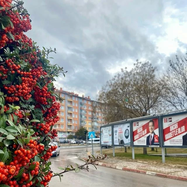 Saadet Partisi Afyonkarahisar